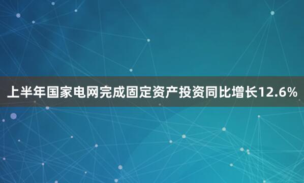上半年国家电网完成固定资产投资同比增长12.6%