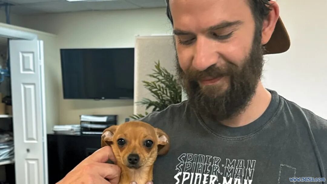 A bearded man wearing a Spider-man t-shirt and a backwards baseball cap holds a small dog with his right arm.