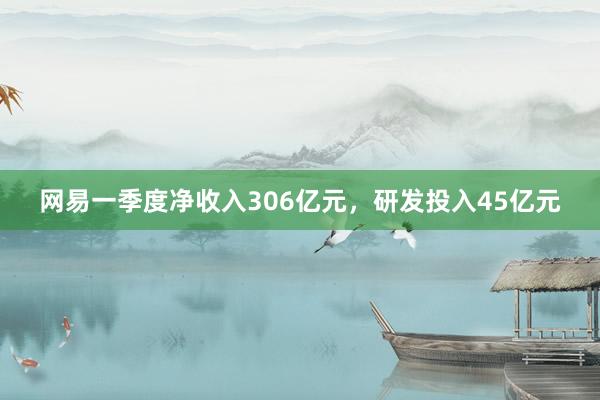 网易一季度净收入306亿元，研发投入45亿元