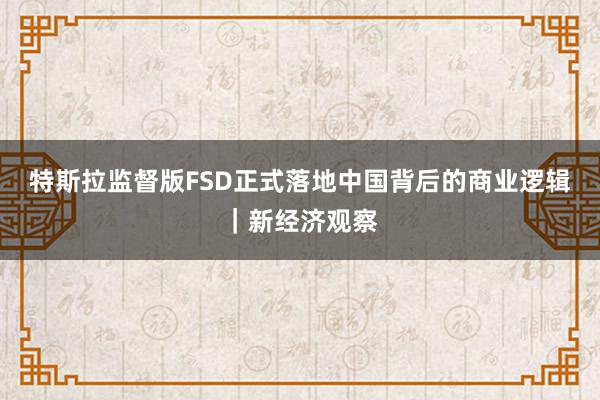 特斯拉监督版FSD正式落地中国背后的商业逻辑｜新经济观察