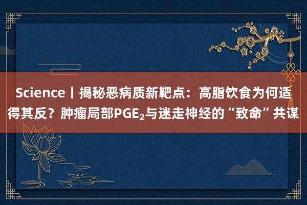 Science丨揭秘恶病质新靶点：高脂饮食为何适得其反？肿瘤局部PGE₂与迷走神经的“致命”共谋