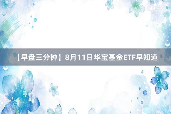 【早盘三分钟】8月11日华宝基金ETF早知道