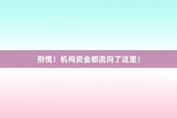 别慌！机构资金都流向了这里！