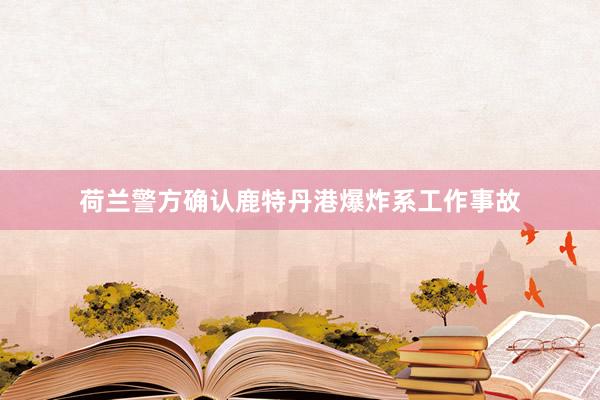 荷兰警方确认鹿特丹港爆炸系工作事故
