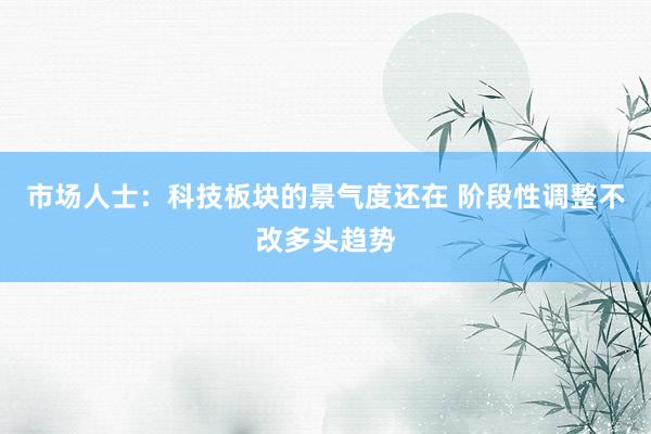 市场人士：科技板块的景气度还在 阶段性调整不改多头趋势