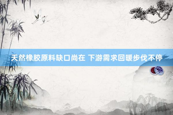 天然橡胶原料缺口尚在 下游需求回暖步伐不停
