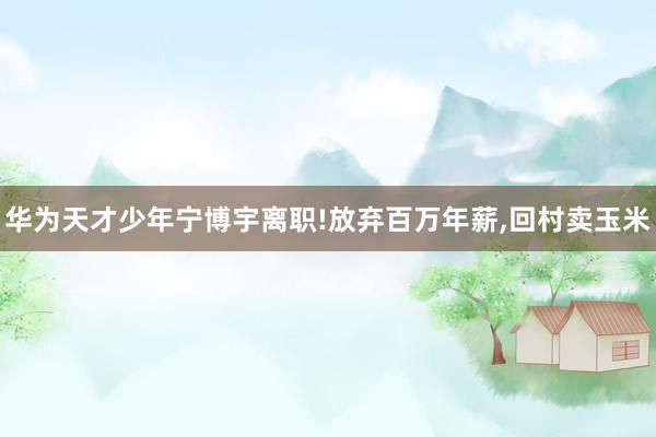 华为天才少年宁博宇离职!放弃百万年薪,回村卖玉米