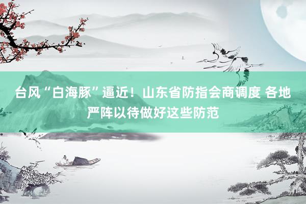 台风“白海豚”逼近！山东省防指会商调度 各地严阵以待做好这些防范