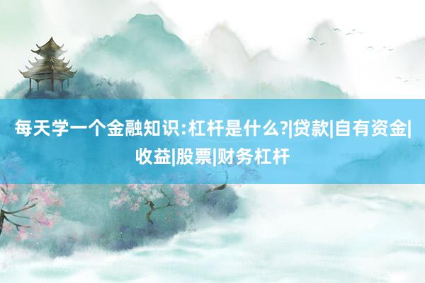 每天学一个金融知识:杠杆是什么?|贷款|自有资金|收益|股票|财务杠杆