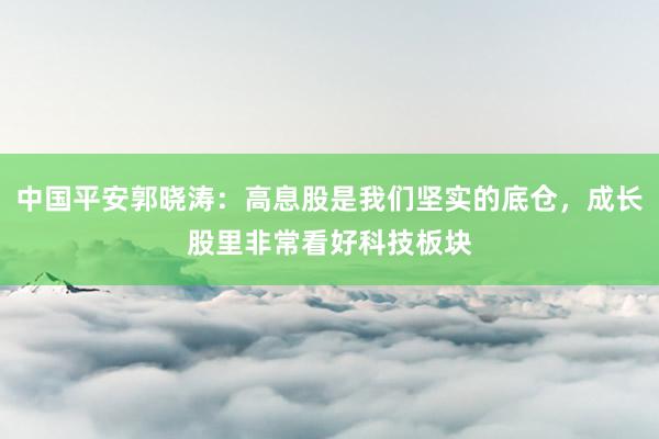 中国平安郭晓涛：高息股是我们坚实的底仓，成长股里非常看好科技板块