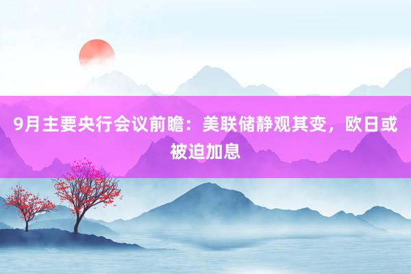 9月主要央行会议前瞻：美联储静观其变，欧日或被迫加息