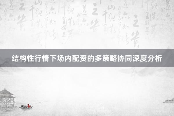 结构性行情下场内配资的多策略协同深度分析