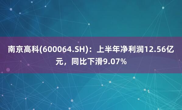 南京高科(600064.SH)：上半年净利润12.56亿元，同比下滑9.07%