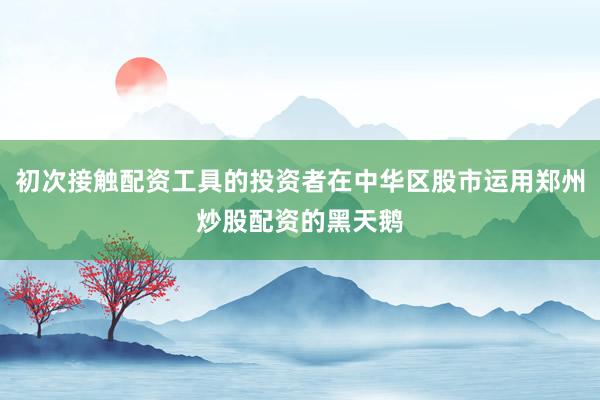 初次接触配资工具的投资者在中华区股市运用郑州炒股配资的黑天鹅