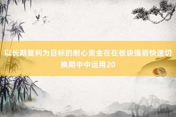 以长期复利为目标的耐心资金在在板块强弱快速切换期中中运用20