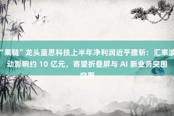 “果链”龙头蓝思科技上半年净利润近乎腰斩：汇率波动影响约 10 亿元，寄望折叠屏与 AI 新业务突围
