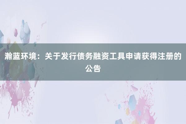 瀚蓝环境：关于发行债务融资工具申请获得注册的公告