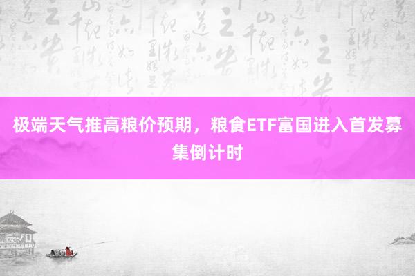 极端天气推高粮价预期,粮食ETF富国进入首发募集倒计时