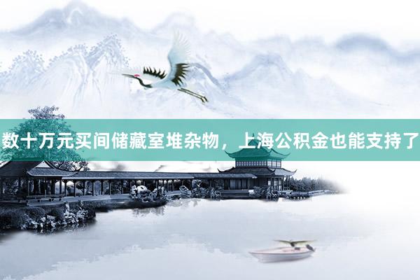 数十万元买间储藏室堆杂物，上海公积金也能支持了