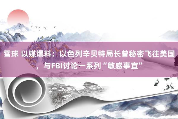 雪球 以媒爆料：以色列辛贝特局长曾秘密飞往美国，与FBI讨论一系列“敏感事宜”
