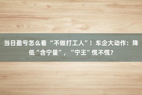 当日盈亏怎么看 “不做打工人”！车企大动作：降低“含宁量”，“宁王”慌不慌？