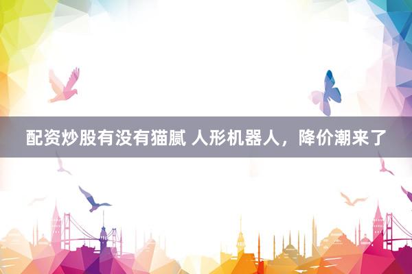 配资炒股有没有猫腻 人形机器人，降价潮来了
