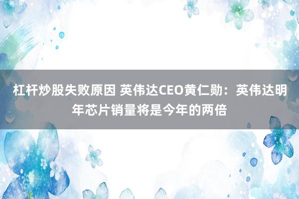 杠杆炒股失败原因 英伟达CEO黄仁勋：英伟达明年芯片销量将是今年的两倍