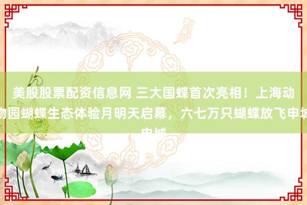 美股股票配资信息网 三大国蝶首次亮相！上海动物园蝴蝶生态体验月明天启幕，六七万只蝴蝶放飞申城