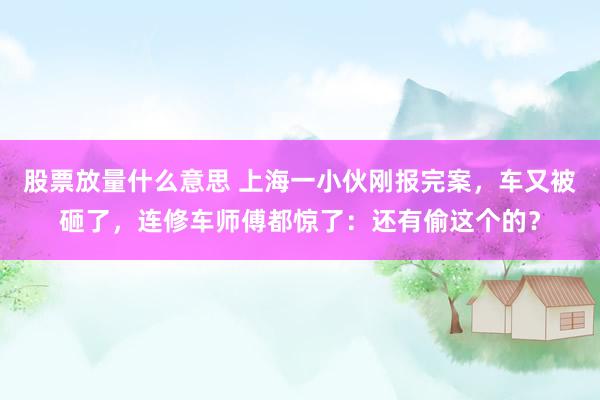 股票放量什么意思 上海一小伙刚报完案，车又被砸了，连修车师傅都惊了：还有偷这个的？