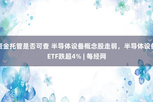 资金托管是否可查 半导体设备概念股走弱，半导体设备ETF跌超4% | 每经网