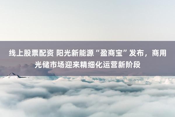 线上股票配资 阳光新能源“盈商宝”发布，商用光储市场迎来精细化运营新阶段