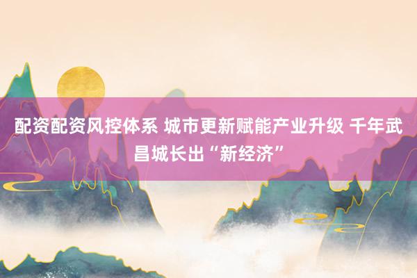 配资配资风控体系 城市更新赋能产业升级 千年武昌城长出“新经济”