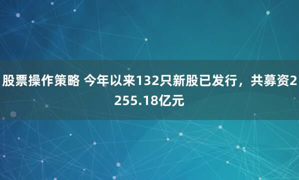 股票操作策略 今年以来132只新股已发行，共募资2255.18亿元