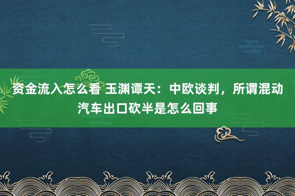 资金流入怎么看 玉渊谭天：中欧谈判，所谓混动汽车出口砍半是怎么回事