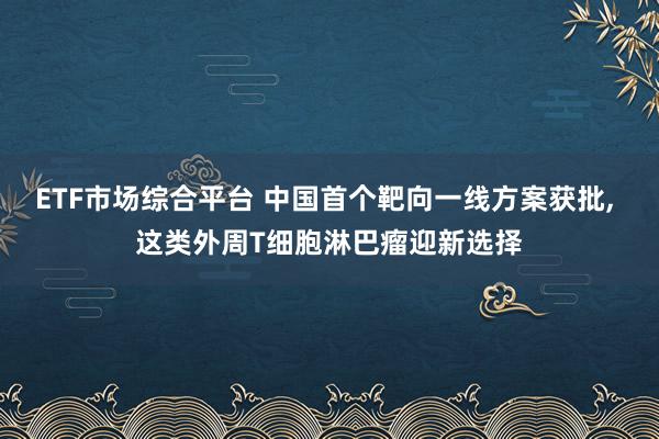 ETF市场综合平台 中国首个靶向一线方案获批, 这类外周T细胞淋巴瘤迎新选择